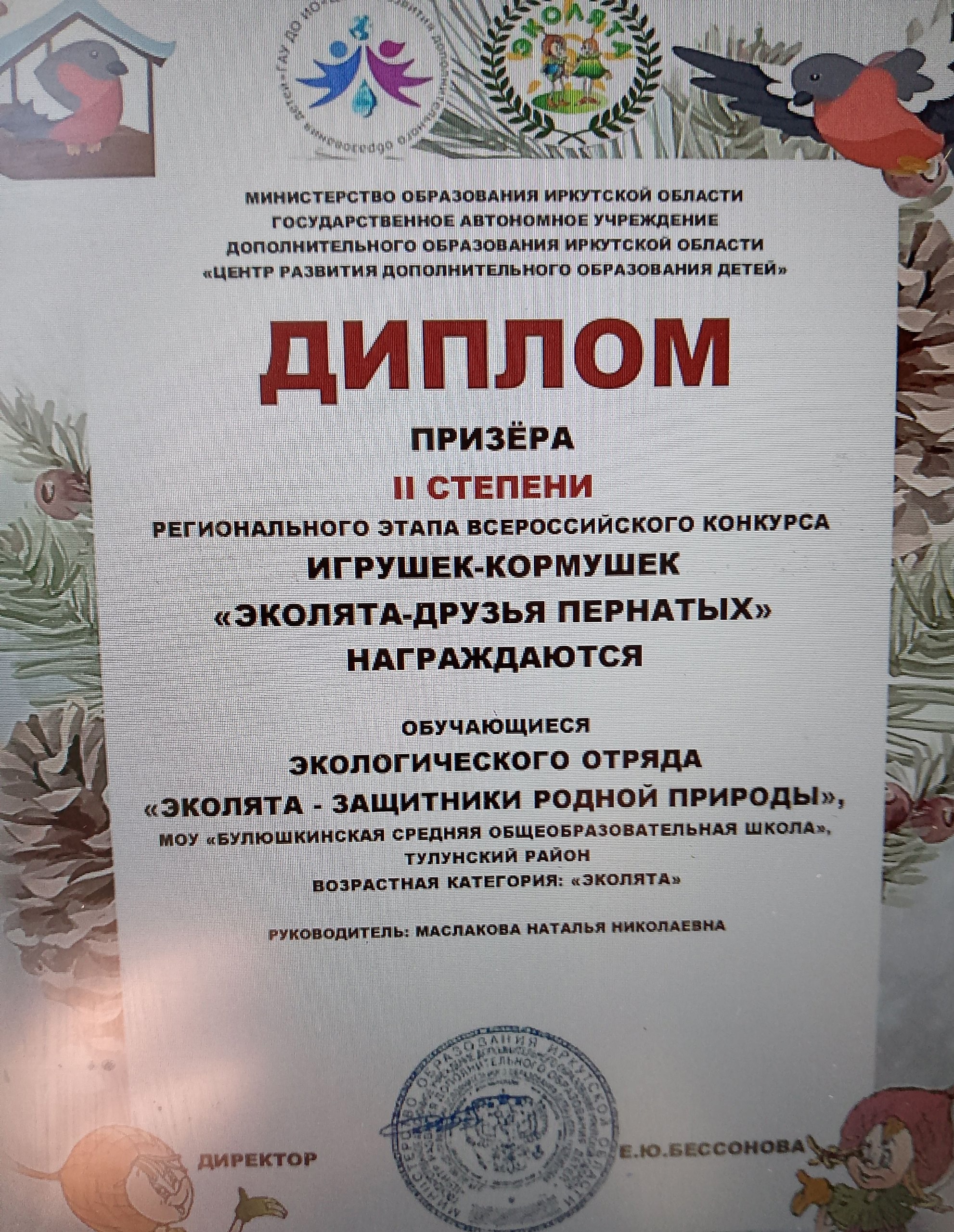 Региональный этап Всероссийского конкурса игрушек-кормушек «Эколята – друзья пернатых».